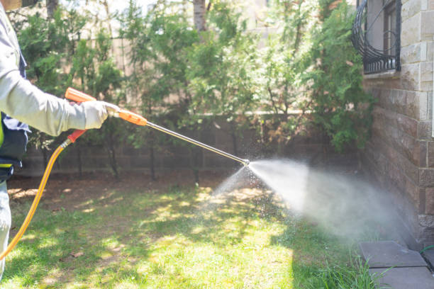 Emergency Pest Control Services in Kendall, FL